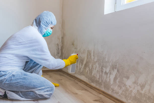 Hvac And Air Duct Mold Remediation inspection of HVAC system in North Bend