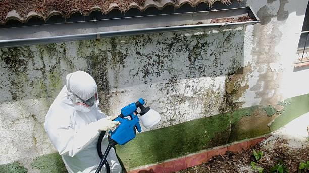 Mold Remediation service in North Bend, North Bend, PA